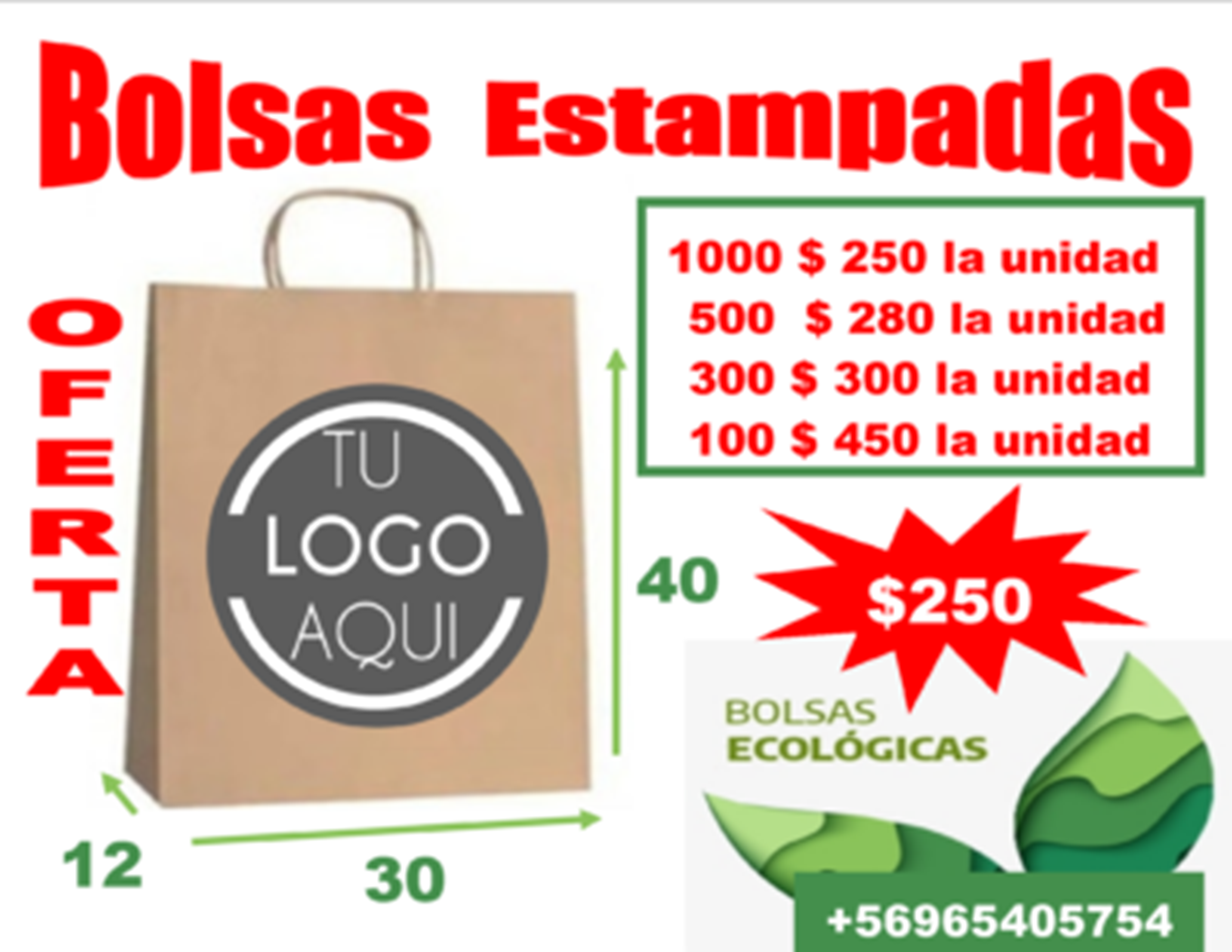 BOLSA-30X40X12-1024x797